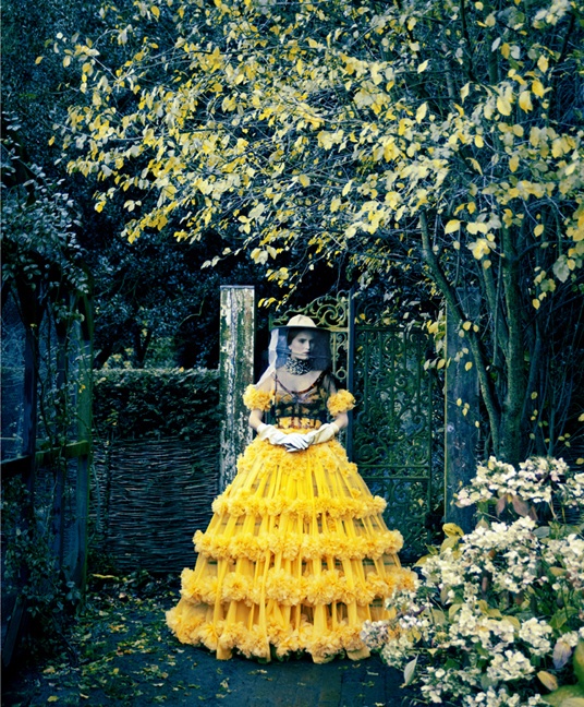 de9c2ed57aa51c51f87f52e7cc5d1cc1--queen-bees-harpers-bazaar